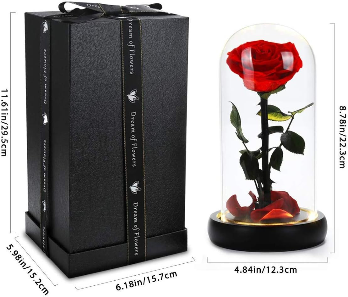 Christmas Rose Gifts for Women,Birthday Gifts,Brightly Coloured Real Eternal Ros