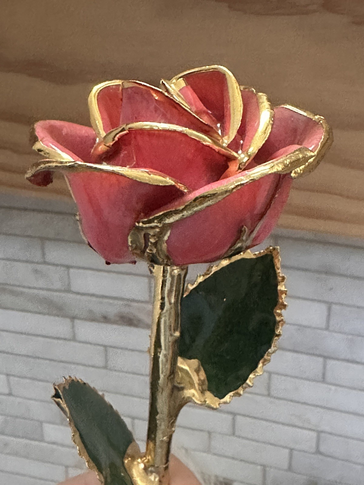 Steven Singer Jewelers – Real Rose – Preserved in 24k Gold – Pink