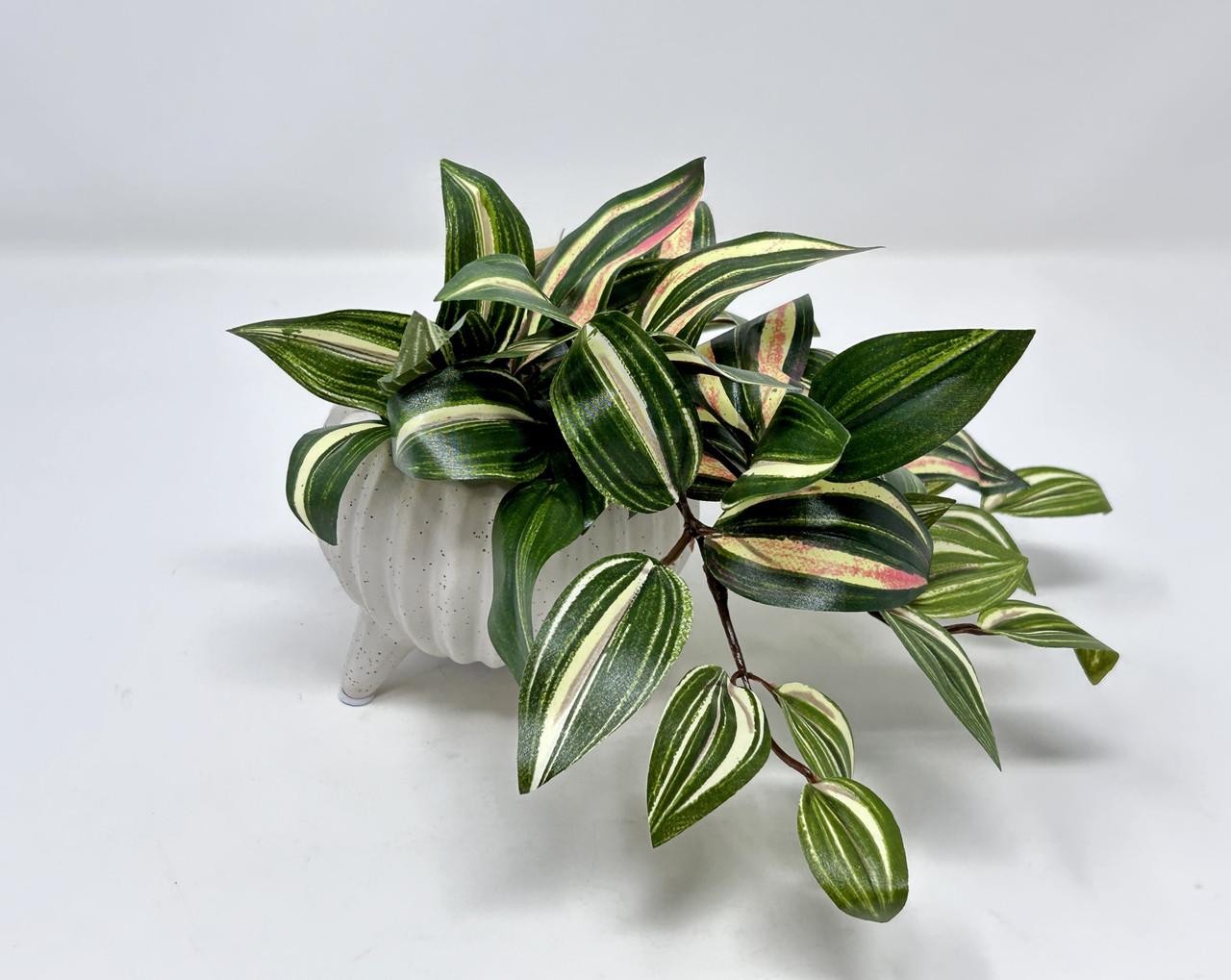 6″ Small PINK JEW faux Silk INCH plant potted in Matte Dot White Ceramic Pot, ha