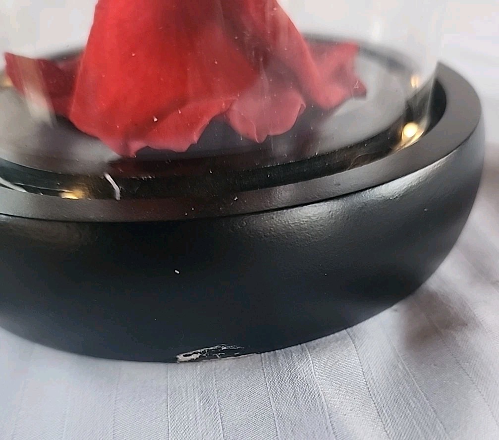 Single Red Rose Displayed In Glass Dome
