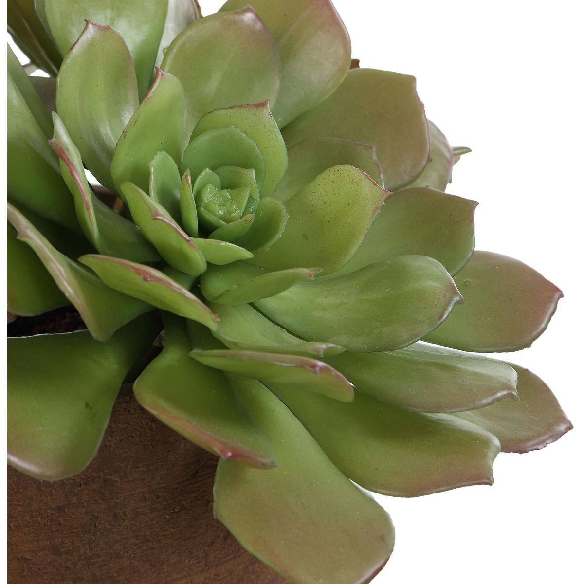 Uttermost 60267 Sable Succulent Terracotta and Green Accent In Pot