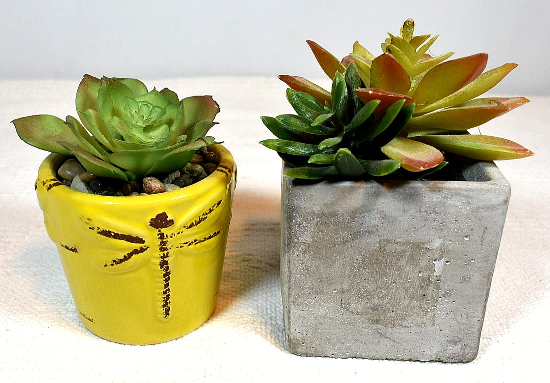 Echeveria & Echeveria/Jade Mix ARTIFICIAL SUCCULENT PLANTS, Set of 2 In Pots