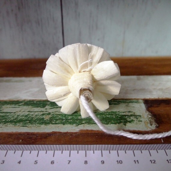 15 Zinnia Sola Wood Diffuser Flowers 5 cm Dia. with Cotton Rope. for Decorate