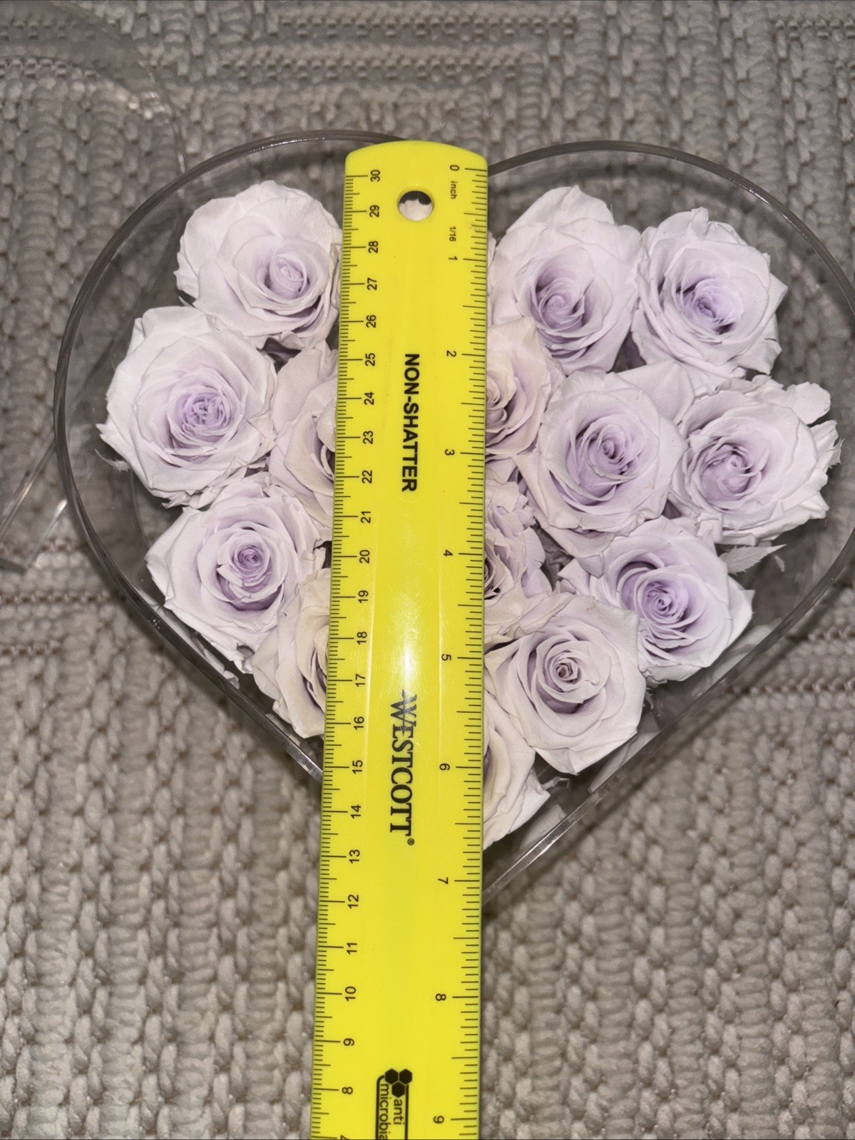 ROSE FOREVER OF NEW YORK~ Soft Violet 15 and a heart shaped clear box with lid