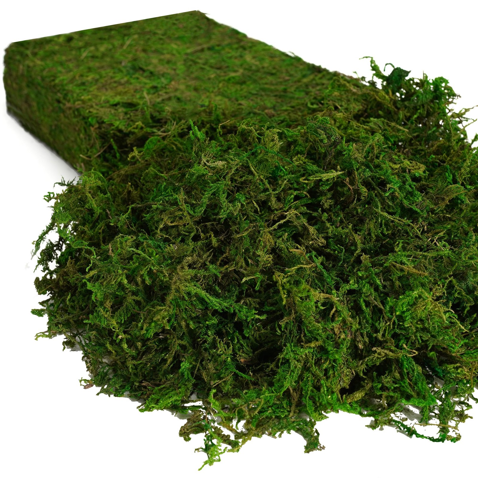 8OZ Fake Green Moss For Crafts Terrariums Fairy Gardens Plant Pot Filler