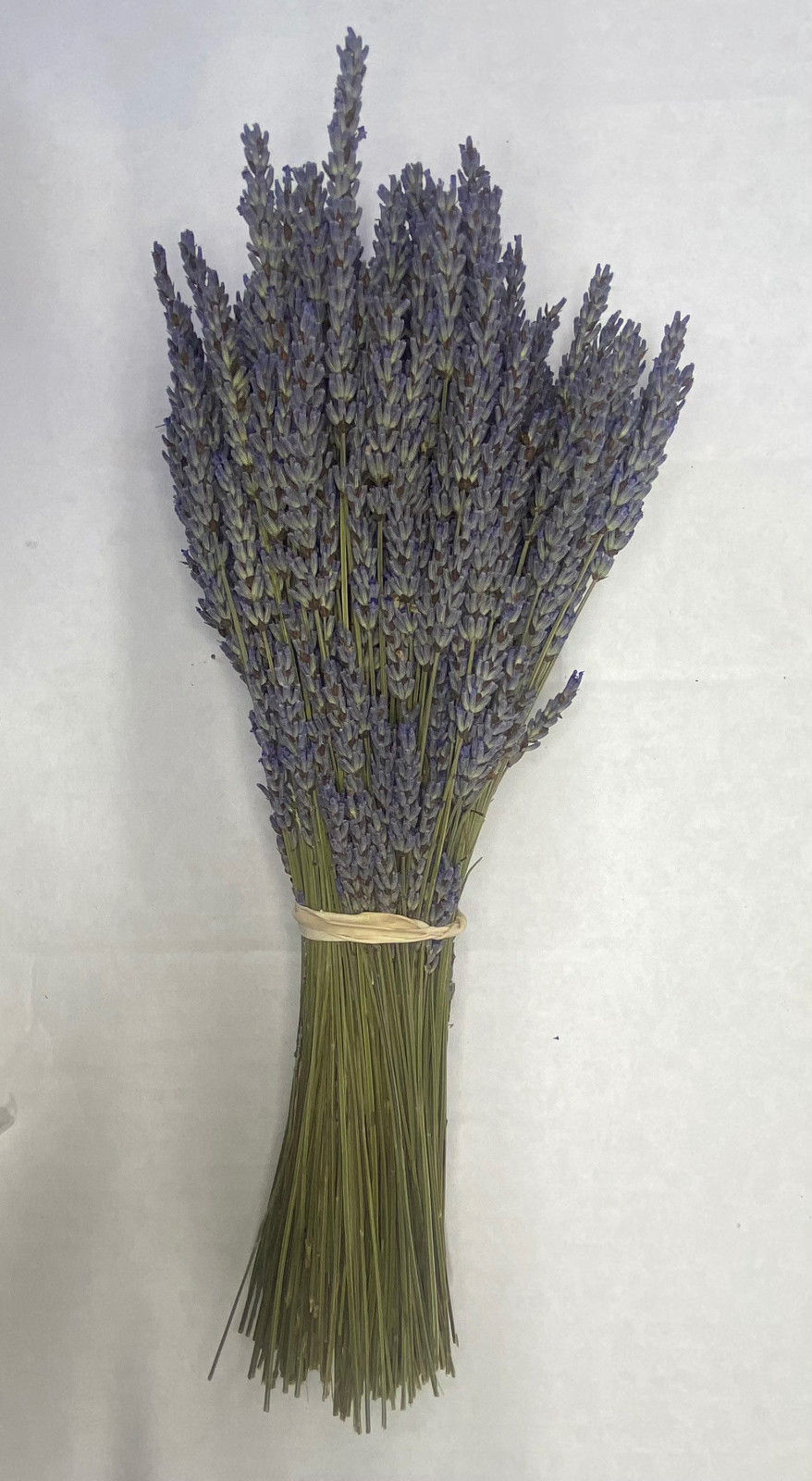 Dried Grosso Lavender Bundles 10–14″ | Farm-Grown Sequim WA | 2025 Harvest