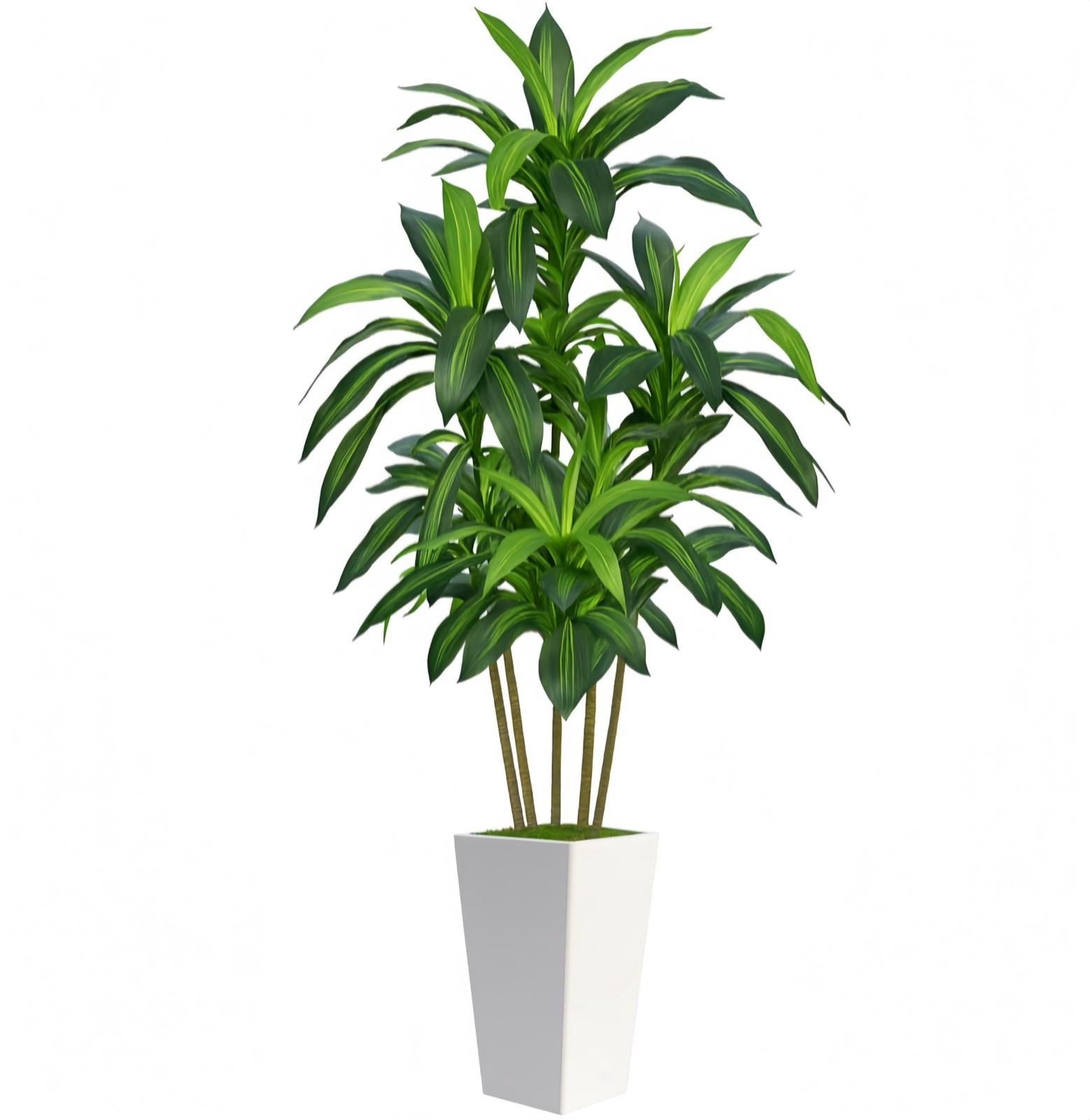 7FT Artificial Dracaena Tree – Indoor Fake Plant with White Tall Planter, Home O