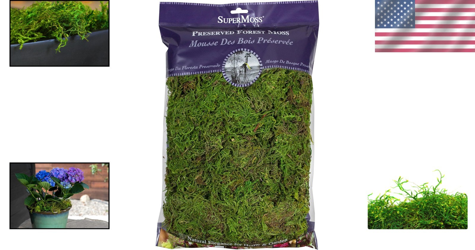 Vibrant Forest Moss, Ideal for Decor, 8oz