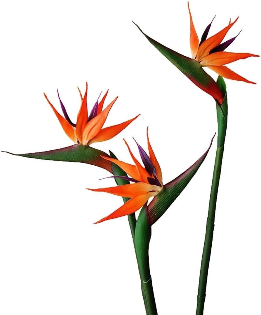 3 PCS 32 Inch Orange Red Large Bird of Paradise Permanent Artificial Flower, …