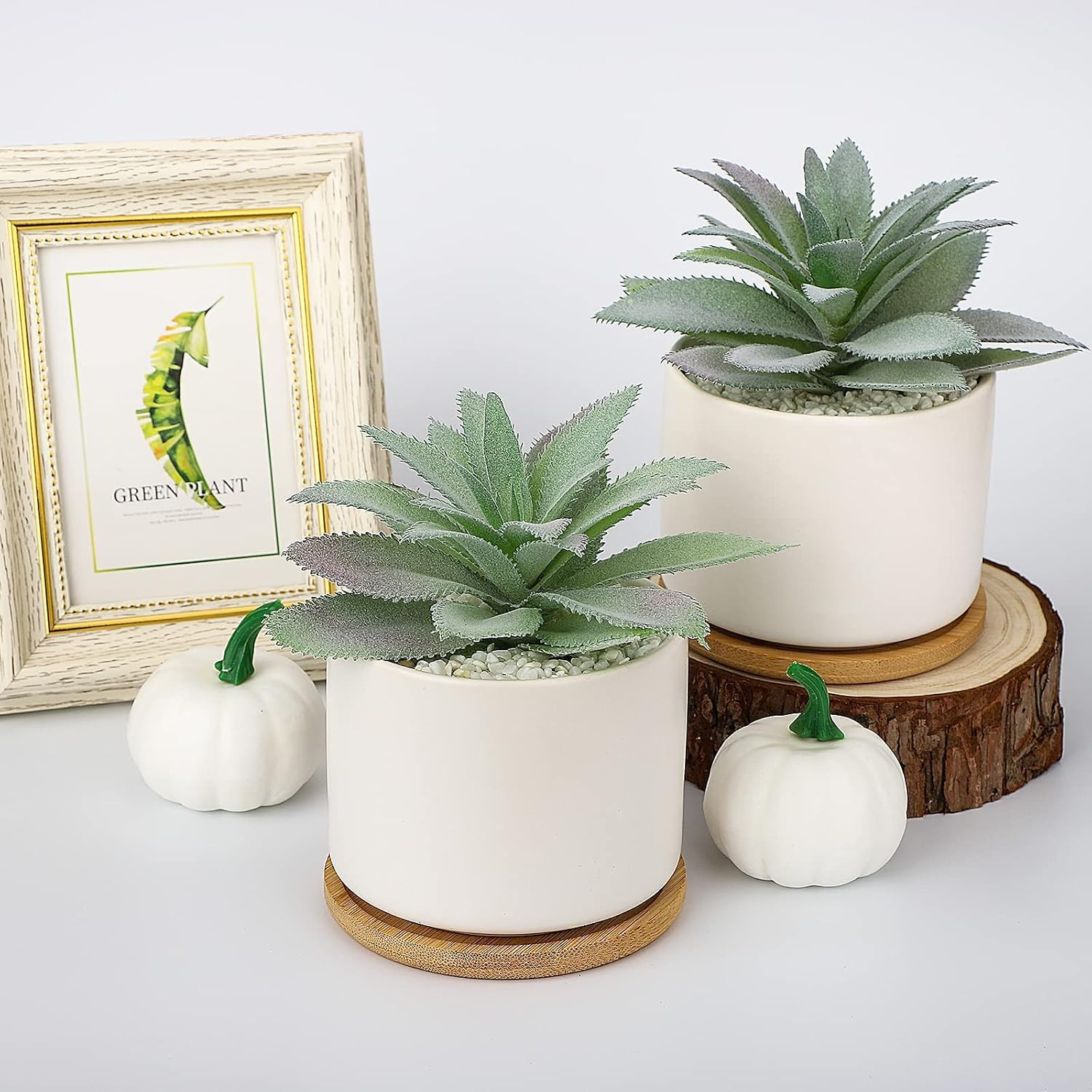 Set of 2 Faux Agave Succulents in Ceramic Pots with Bamboo Tray for Home Decor