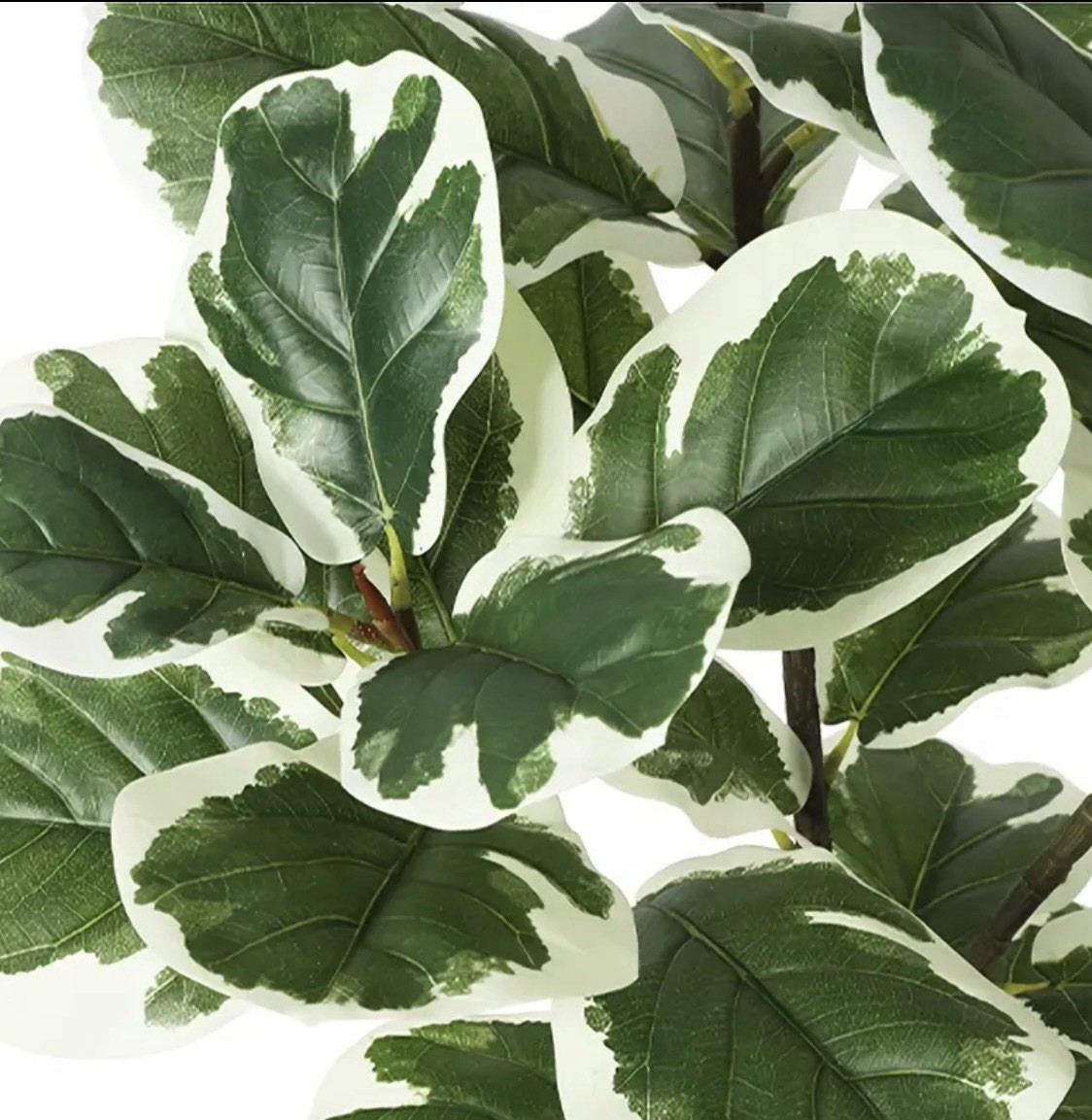 Faux Fiddle Leaf Fig Tree 4.3 Ft. With 46 Fiddle (indoor/outdoor)