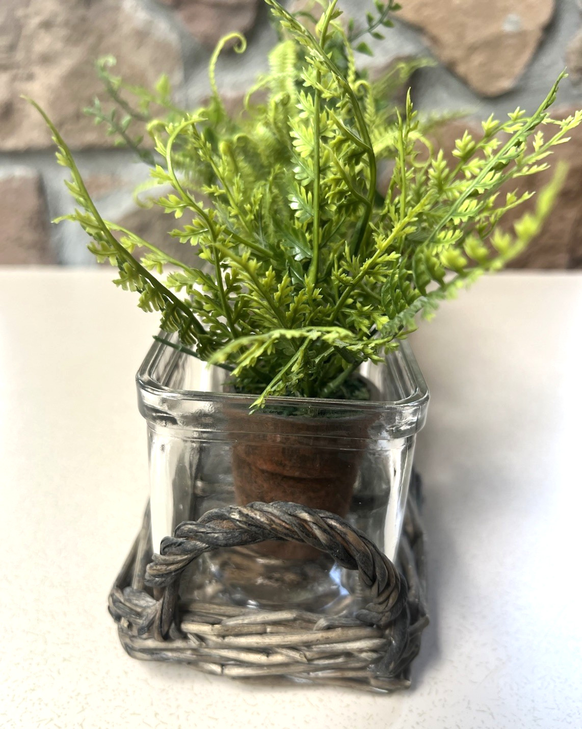 Tabletop Garden Mini Faux Fern Clay Pots With Rattan Wicker Tray & 5 Glass Vases
