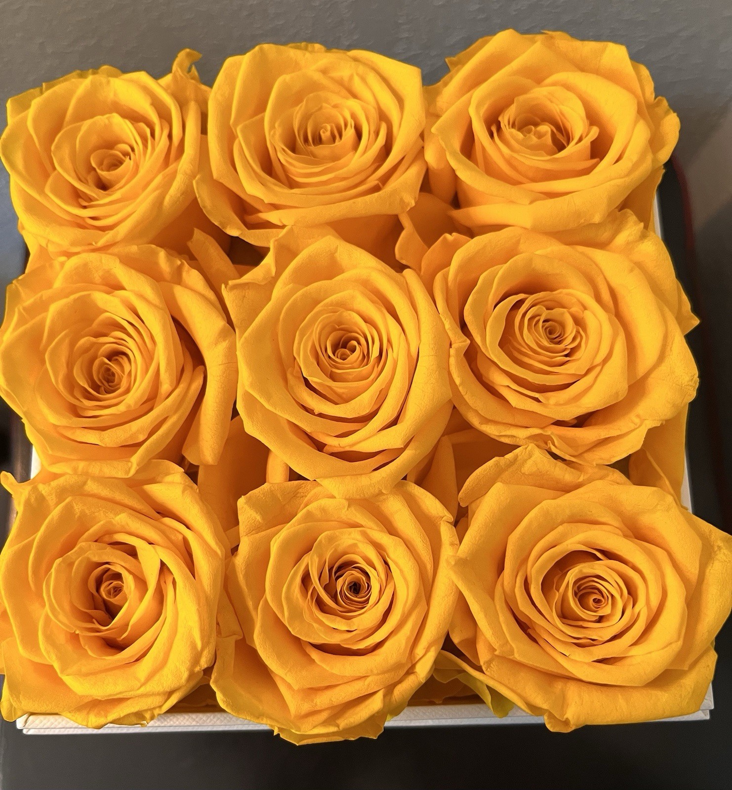Perfectione Roses Preserved Yellow Roses in a Box With Clear Lid, Long-Lasting