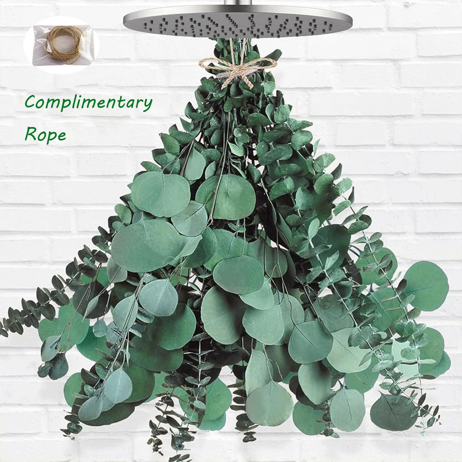 Preserved Dried Eucalyptus & Silver Dollar Seeded Shower Hanging Greenery