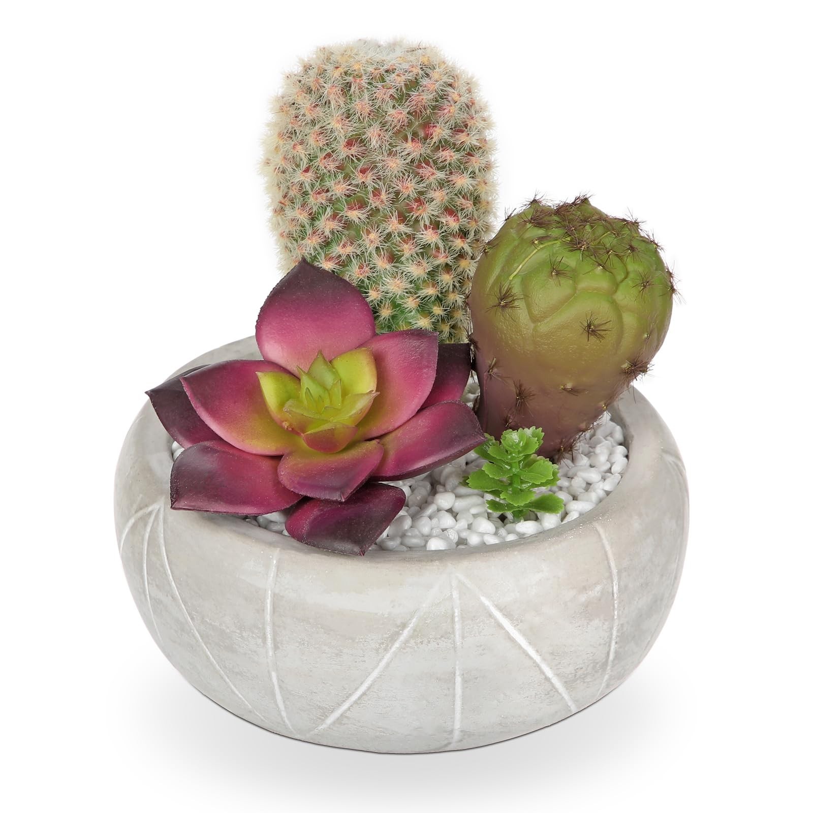 Artificial Cactus Plants Indoor, 5.5″ Assorted Small Faux Purple Succulent in…