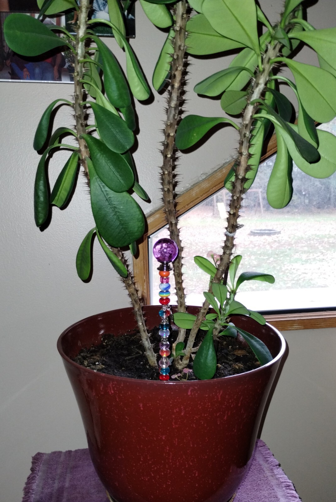 Fairy Wand Indoor/Outdoor Plant Custom Decor HANDMADE in USA