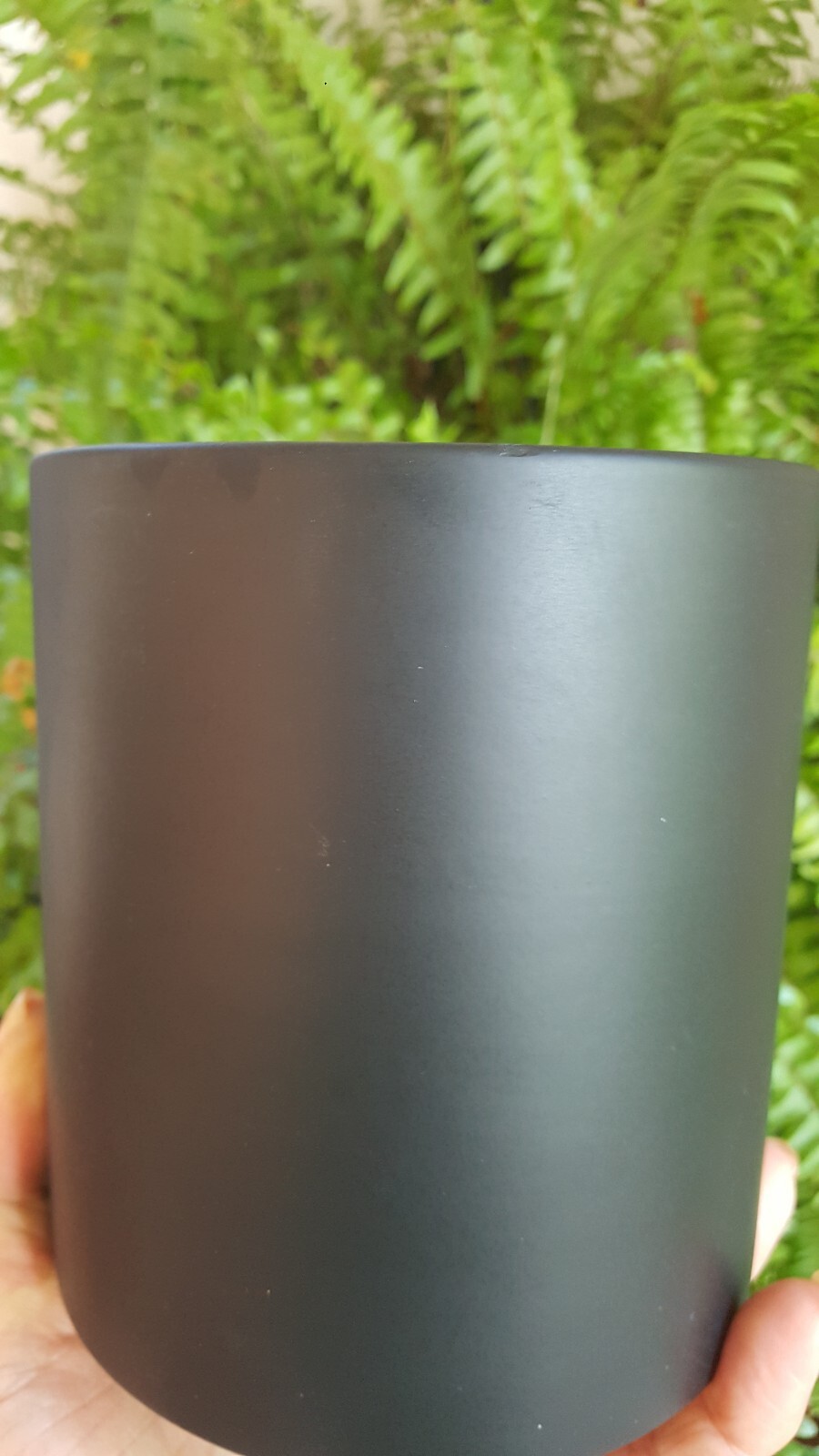 Artificial Fern Stems Matte Black Cylinder Pottery Planter/Stand