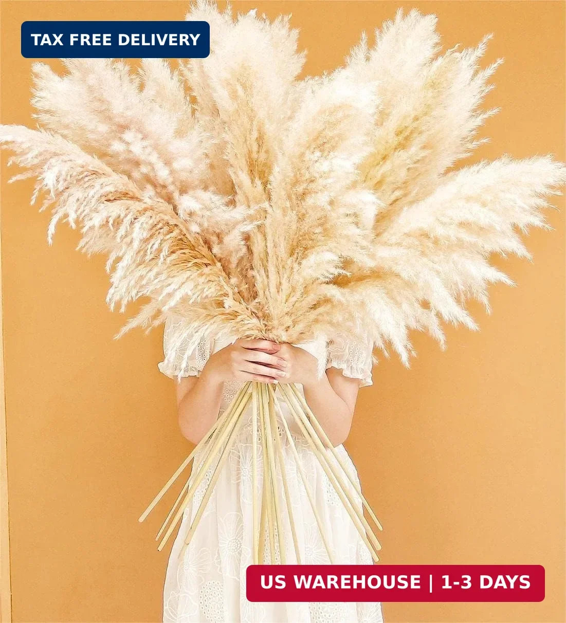 40″ inch 10 Stems Natural Pampas Grass Decor Tall, pompas Grass, Tall Pampas Gra