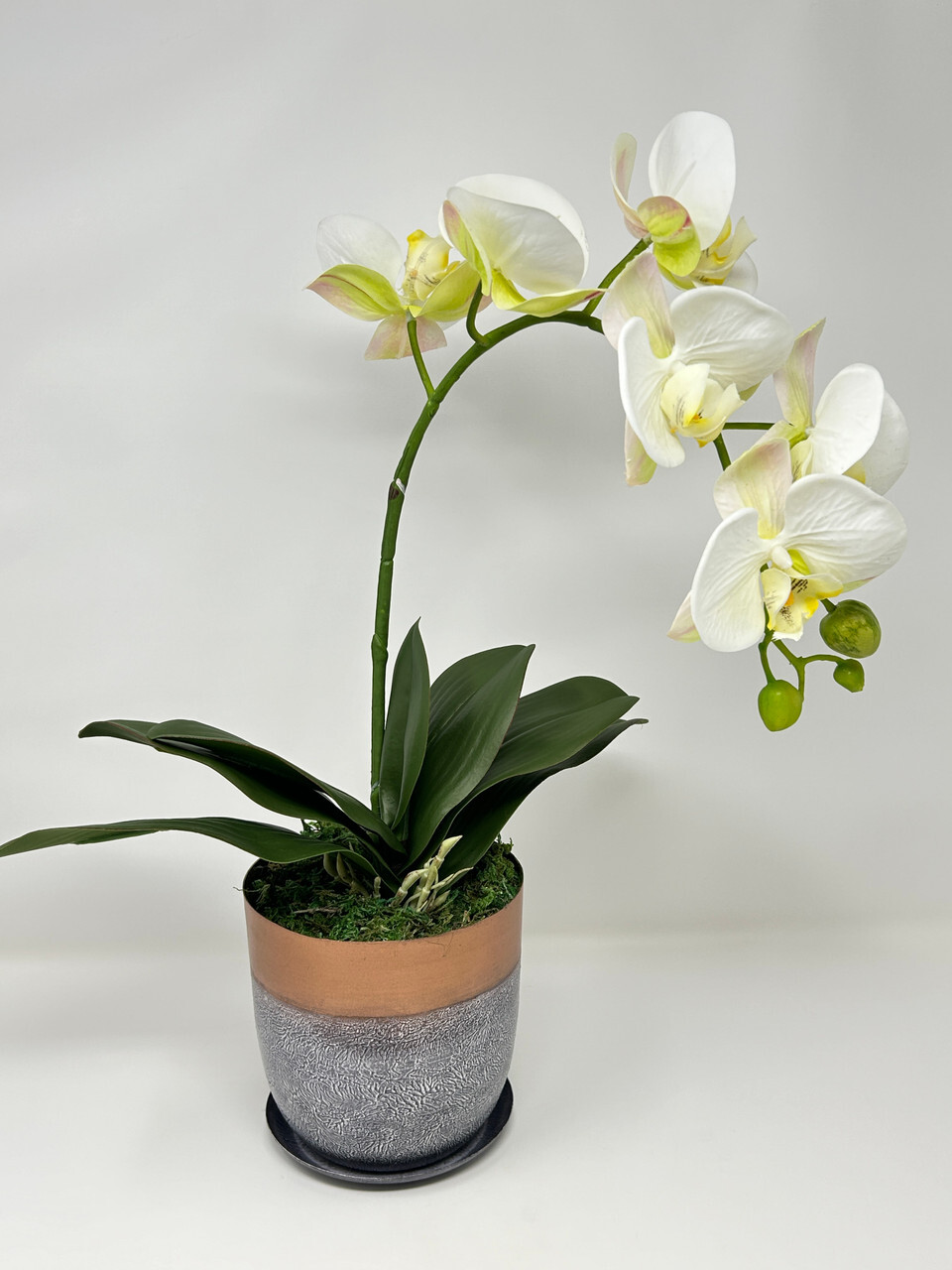 17″ Lg WHITE Phalaenopsis ORCHID silk flower plant, 5″ Copper Metal Planter