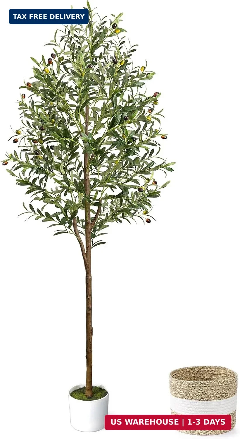 6FT Artificial Olive Tree – Indoor Tall Faux Olive Trees with Planter&Basket, La