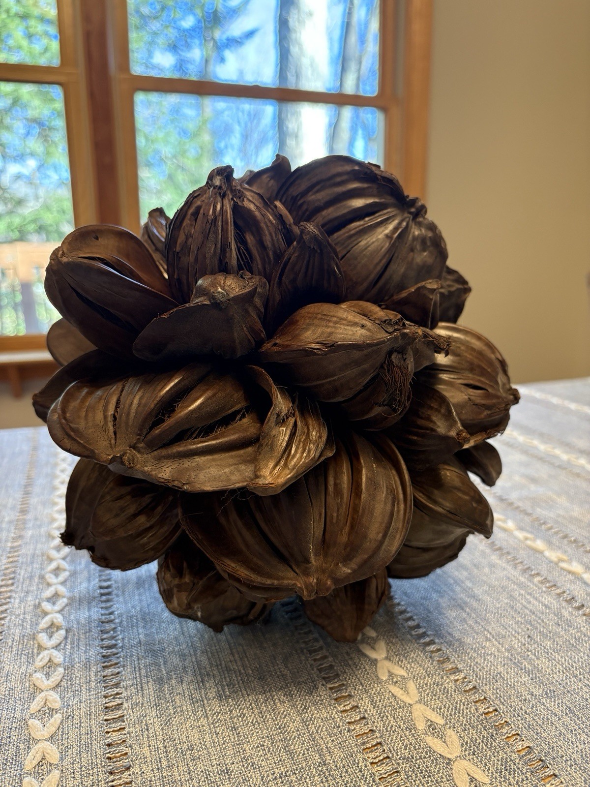 Vietnamese Water Coconut Nipa Palm Fruit Cluster Seed Pod Nypa Fruticans