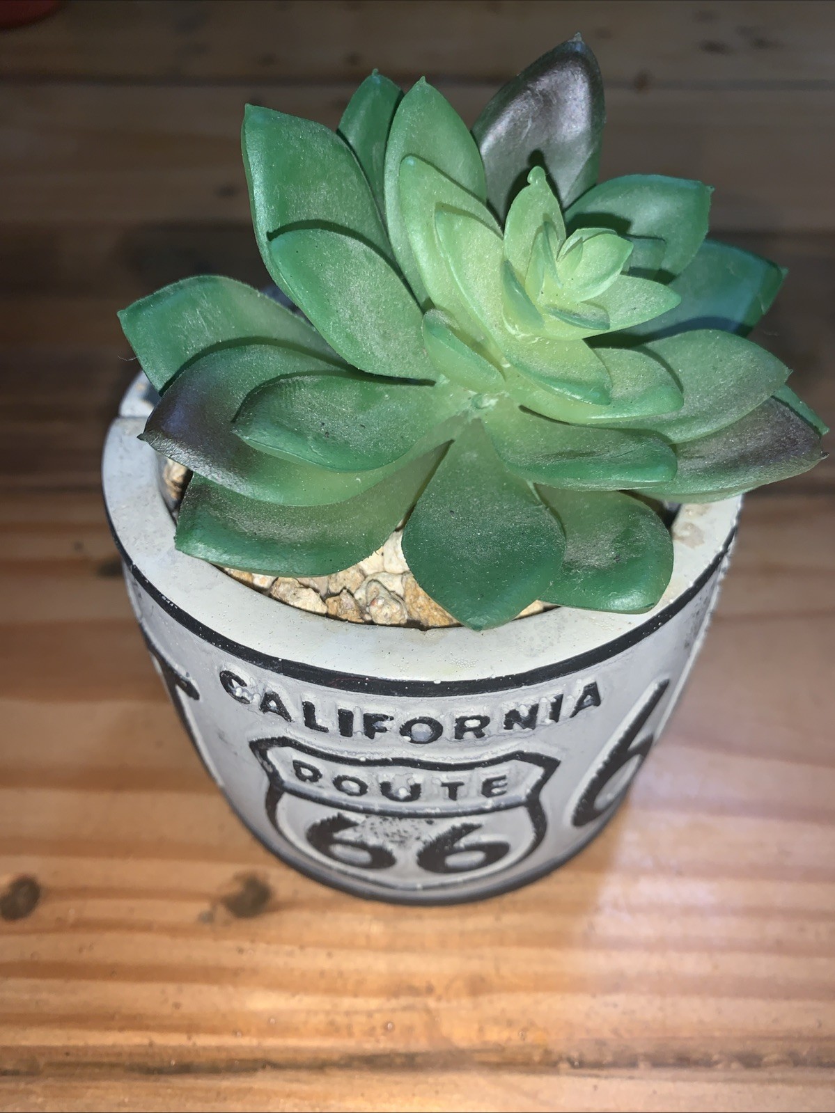 California Route 66 succulent potted artifical plants License plate design IVORY