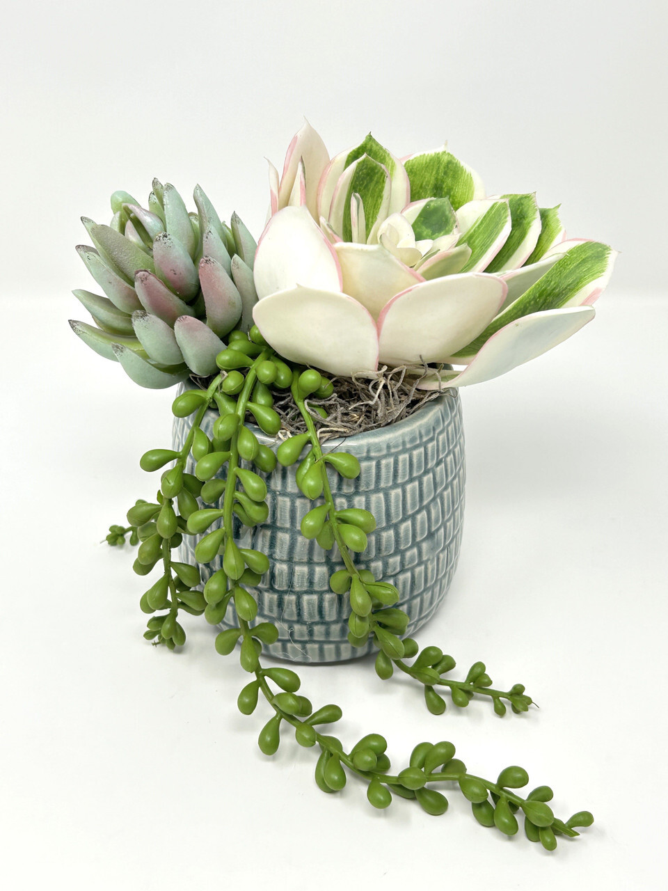 7″ Artificial White Succulent Garden #9 mixed arrangement, 4″ Teal-cream planter