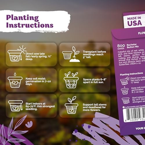 800 Mix Bachelor Button Seeds (Centaurea cyanus) – Cornflower Seed Mix,