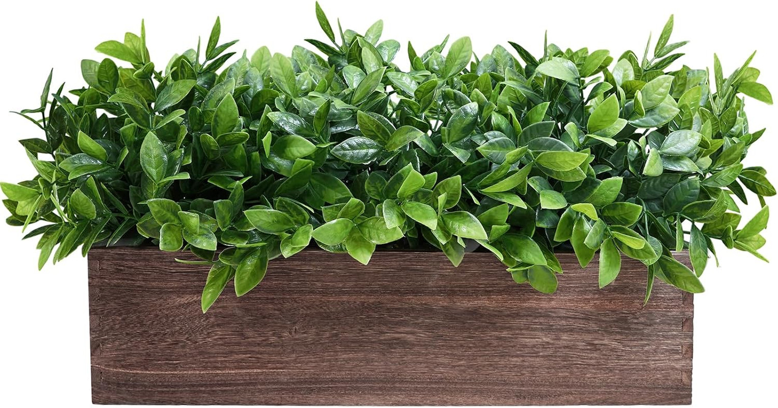 14″ Artificial Boxwood Plants in Rectangular Wood Planter Farmhouse Greenery Arr