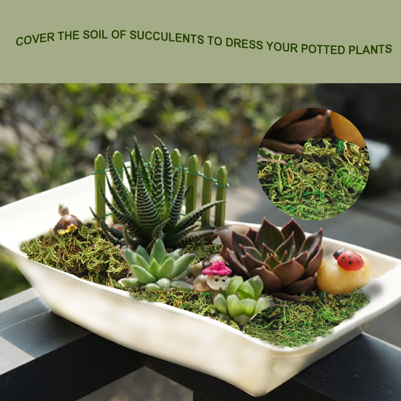 Fake Moss Artificial Moss for Potted Plants Greenery Moss(4OZ) Home Decor Fai…