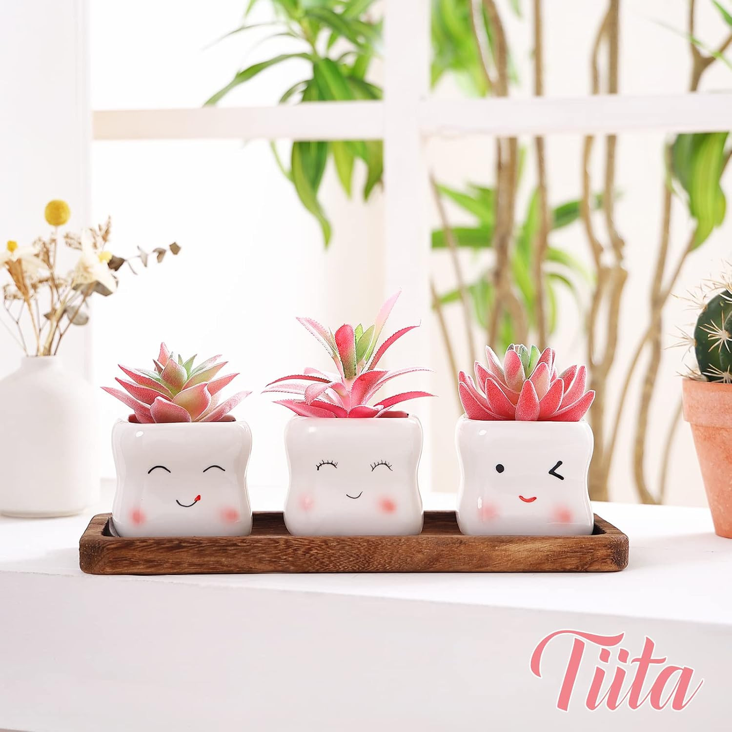 Adorable Mini Faux Succulents in Pots for Home Office Decor and Accessories