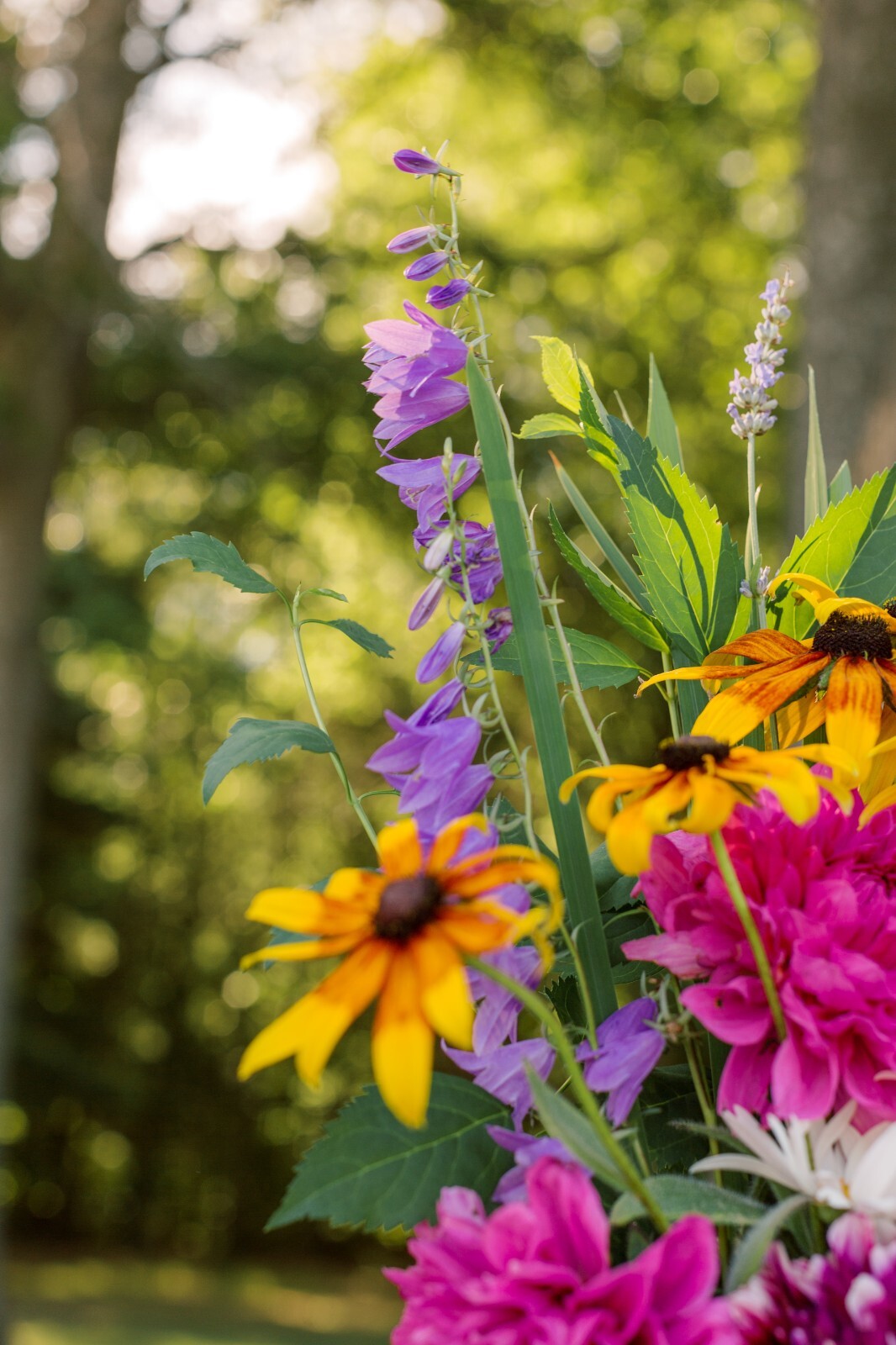 Fresh Cut Variety Flowers – Garden of Eden Flower Company