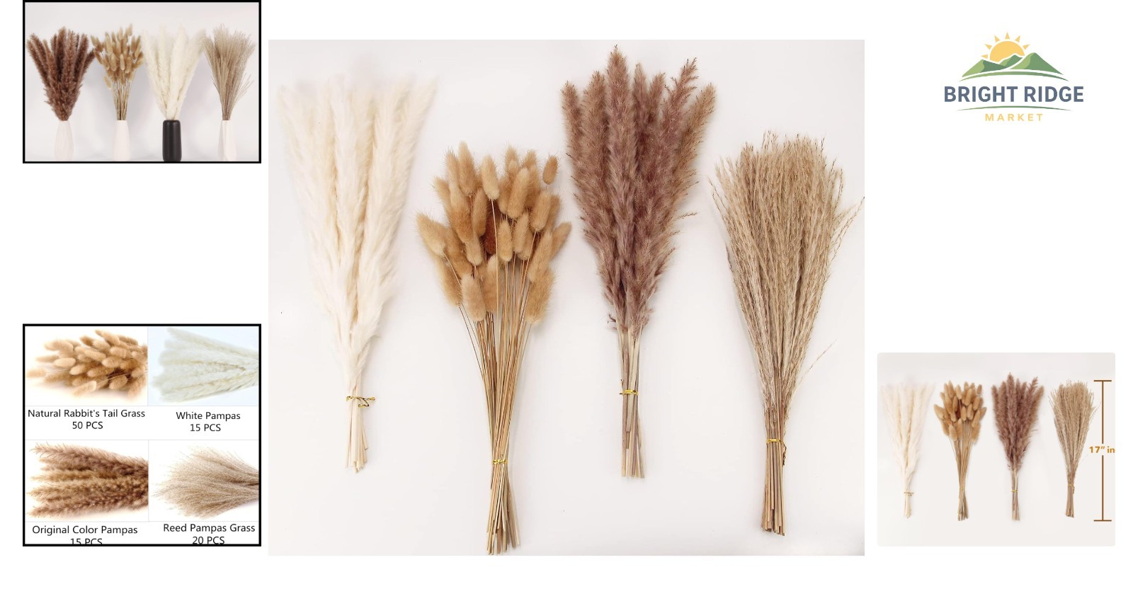 Elegant Dried Pampas Grass Bouquet with White and Brown Stems for Events