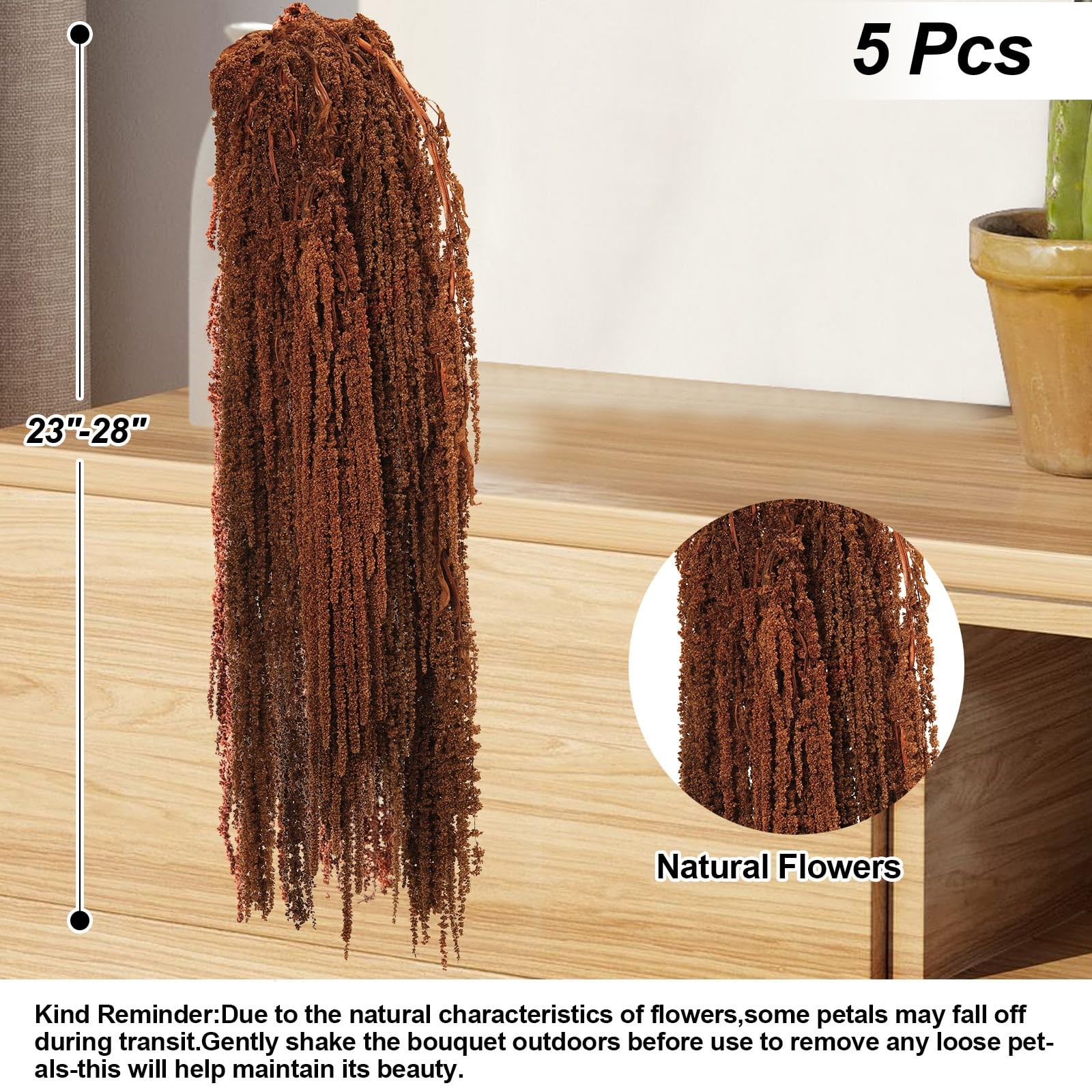 5 PCS Dried Amaranthus Hanging Flowers Natural Preserved Brown 24 Inch