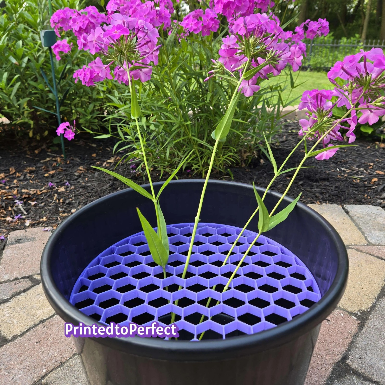 flower bucket grid for harvesting and transporting