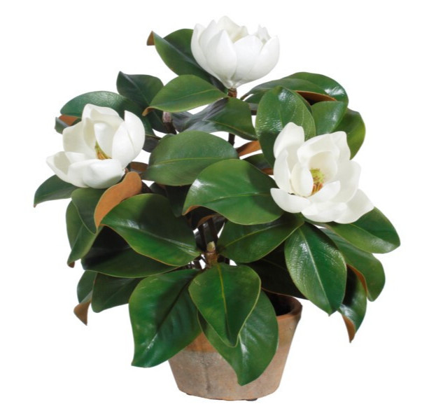 Southern Magnolia, 18″ Faux – FREE SHIPPING!