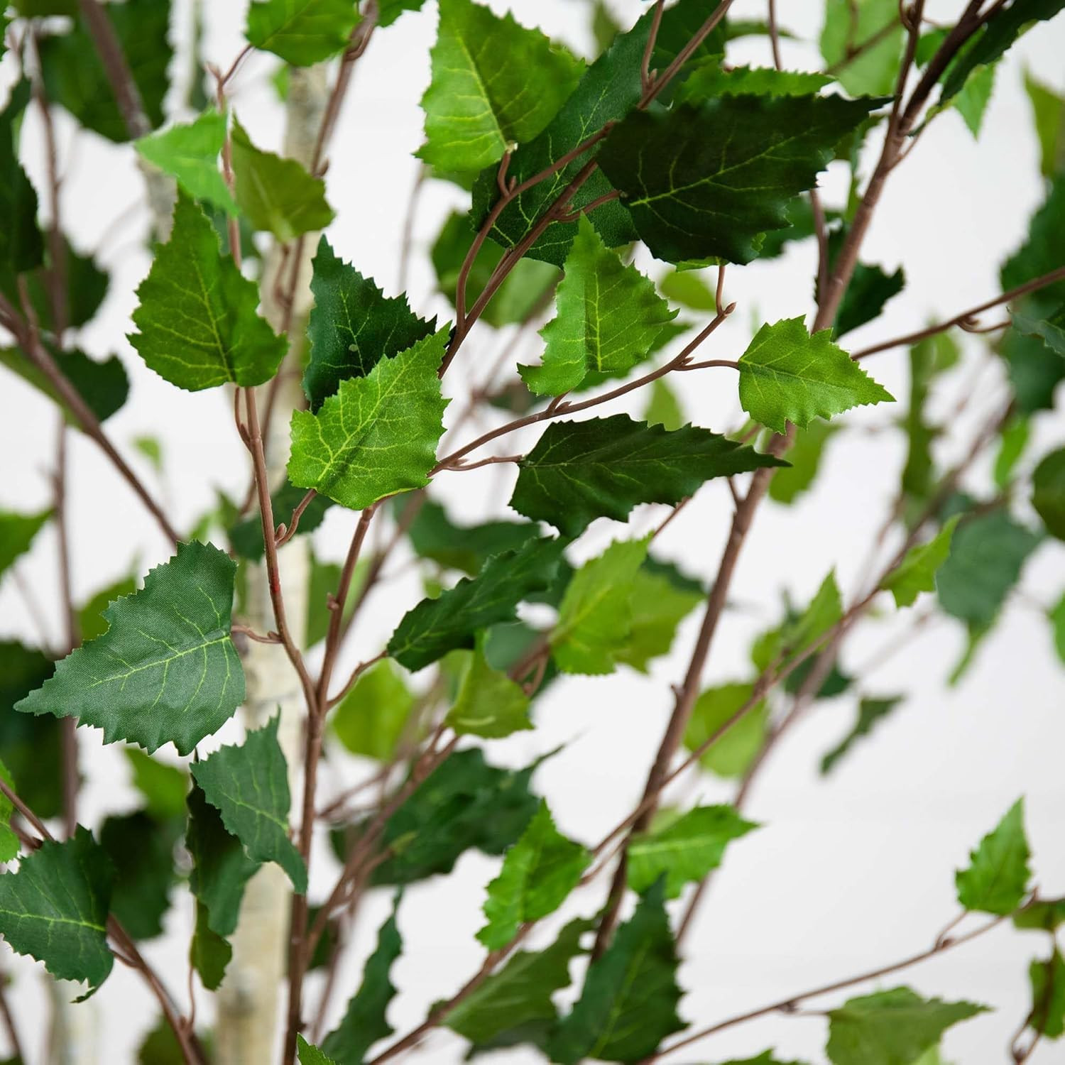 7Ft. Realistic Artificial Birch Tree with Touch-Feel Leaves for Home Decor