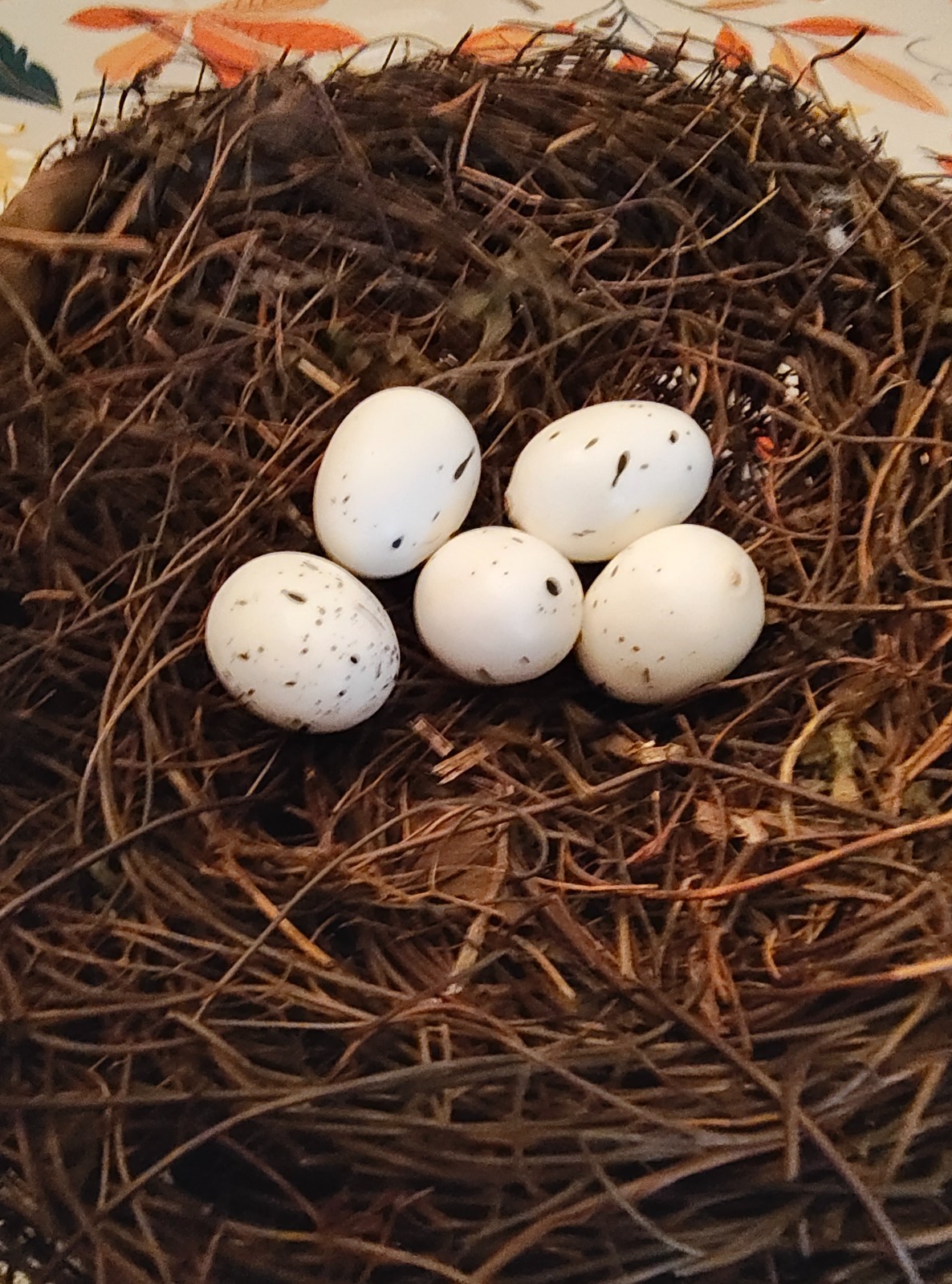 6″ Faux Artificial Nest with 5 1″ White Eggs.