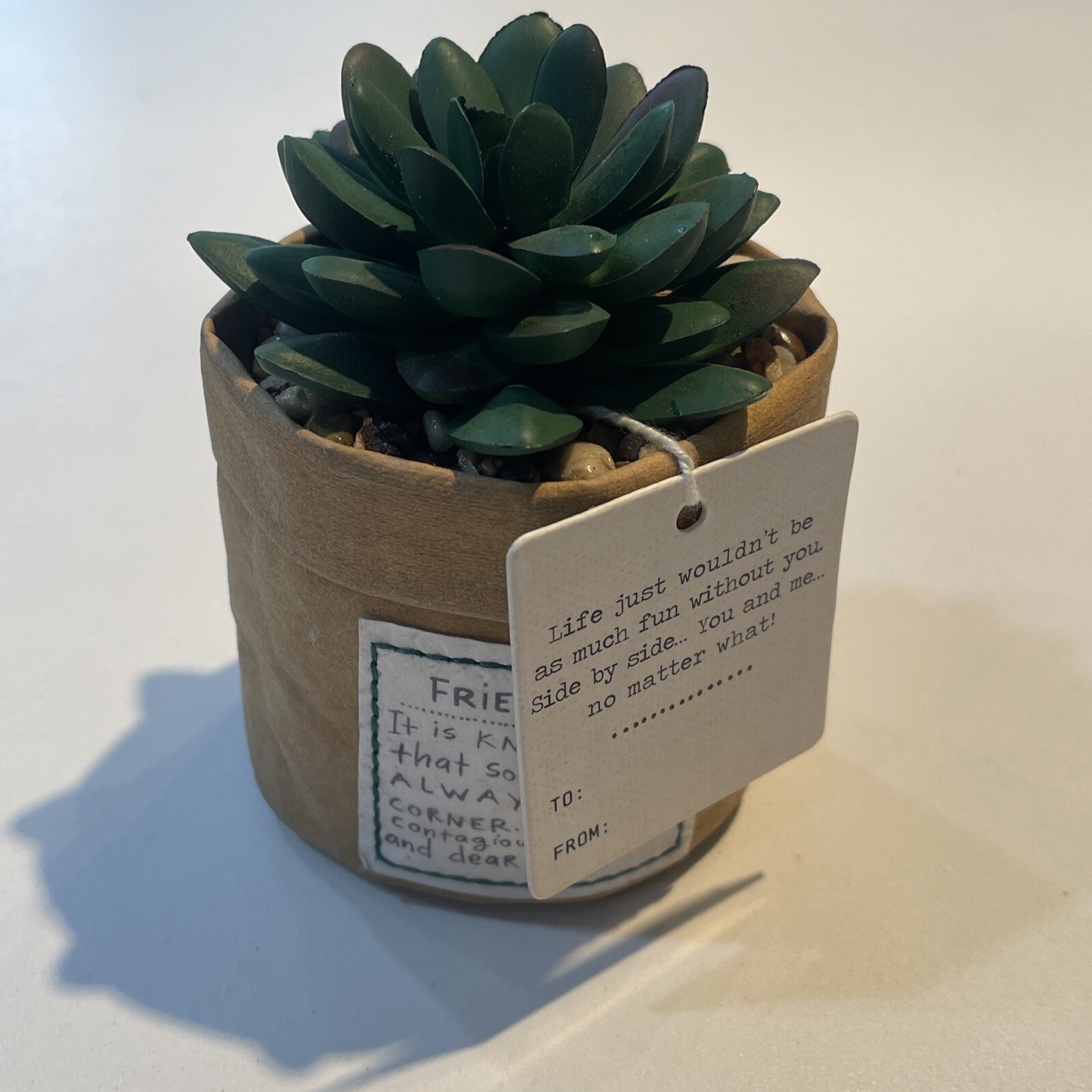 Demdaco Green Succulent Plant Kind Friendship 3 x 5 Acrylic Artificial Flower