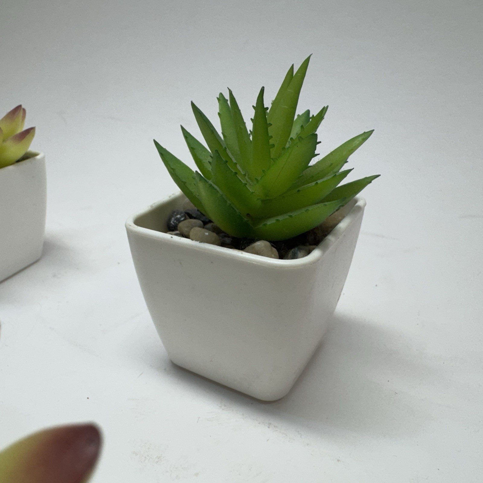 Gift Set of 5 Mini Artificial Succulent Plants in Square White Plastic Pots