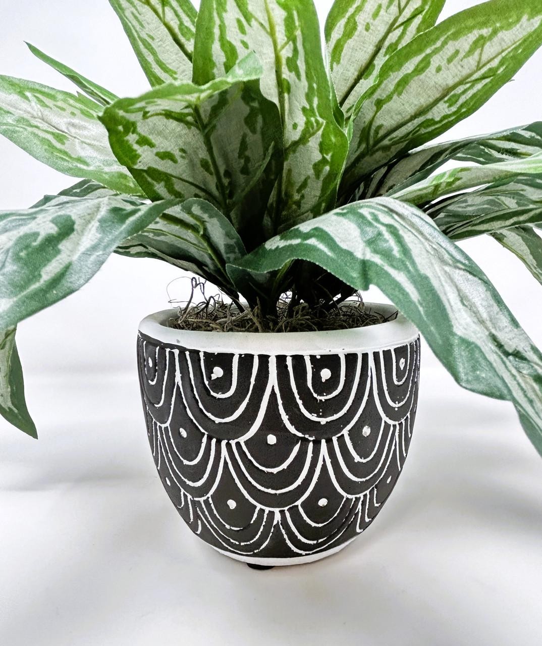 Silk Silver King SWORD plant in Black Ceramic Pot, handmade original by Lower Fo