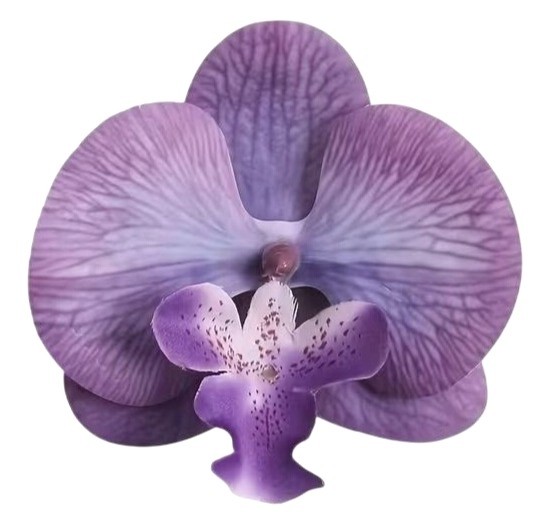 Real Touch Orchid Heads Set of 2 Purple Phalaenopsis Blooms 3.5 Inch for Corsage