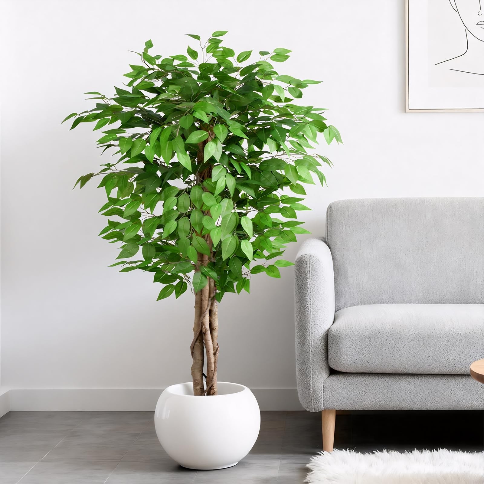 5ft Ficus Artificial Trees with Natural Curved Trunks, 60″ Tall Lush Faux Tre…