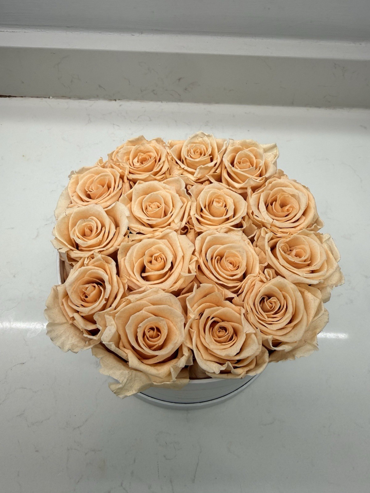 Venus et fleur Round white&gold box 15 Eternity Rose Papaya color