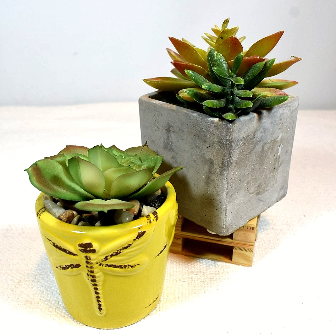 Echeveria & Echeveria/Jade Mix ARTIFICIAL SUCCULENT PLANTS, Set of 2 In Pots