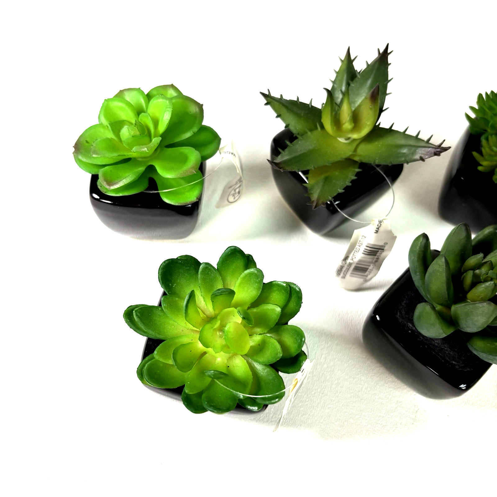Set of 6 Artificial Mini Succulents in Black Ceramic Pots New With Tags