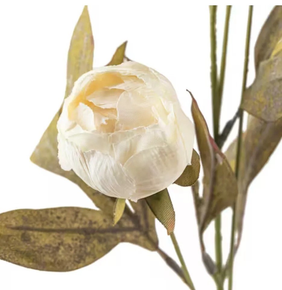 Michael’s Ashland Cream Peony Stems Set of 8 New