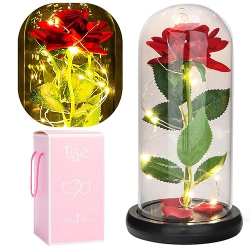 Beauty and The Beast Rose in Glass Dome, Preserved Rose Enchanted Silk Rose Red