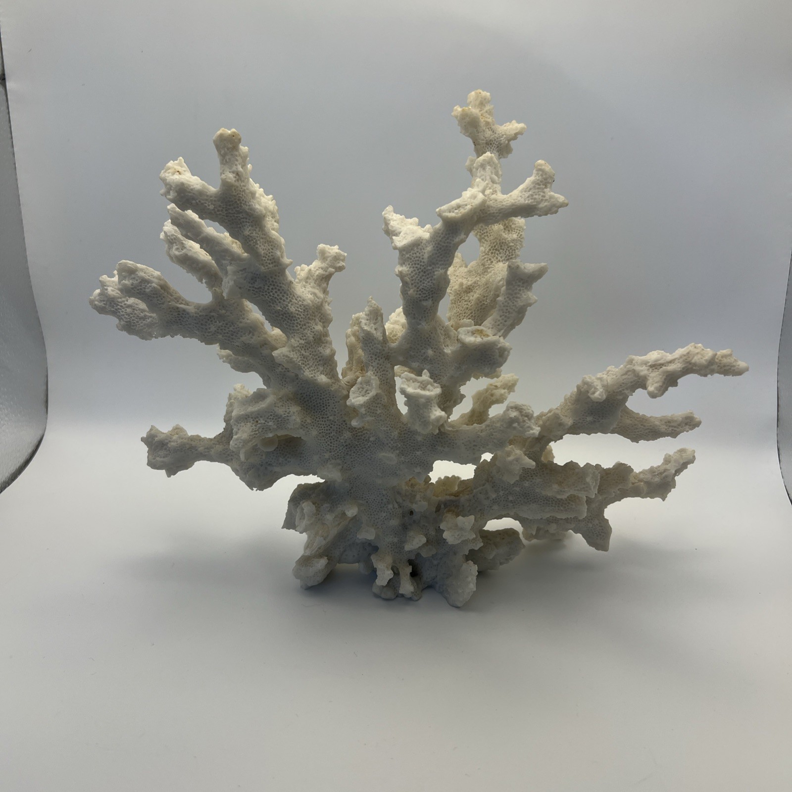Lot Of 2 Luxury Faux Coral Coastal Beach Decor