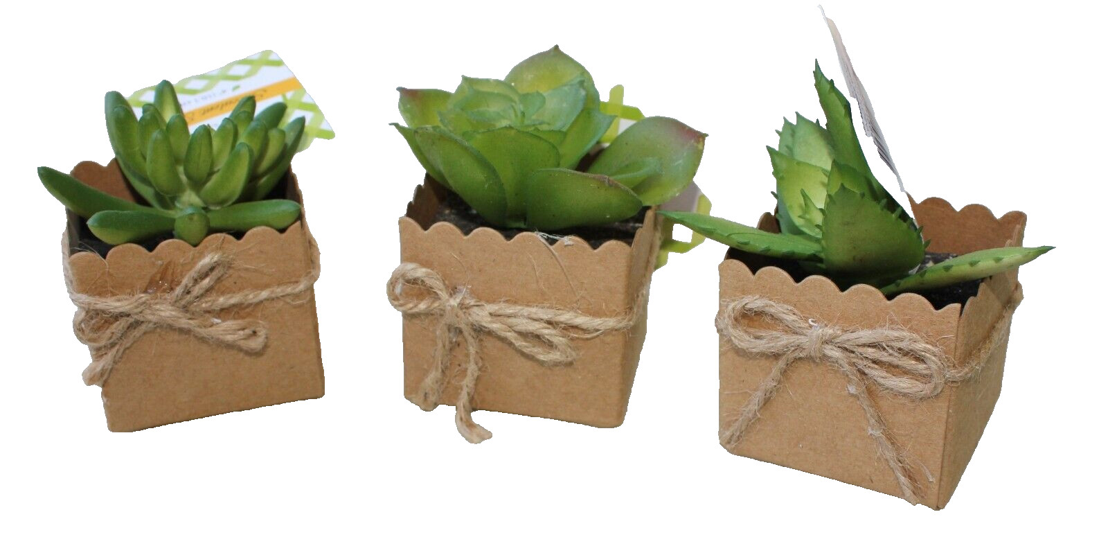 Set of 3 3″ Mini Artificial Succulent Plants in Square Paper 2″x2″ Pots Gift